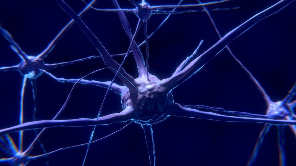 Ilustración de neuronas y conexiones del sistema nervioso