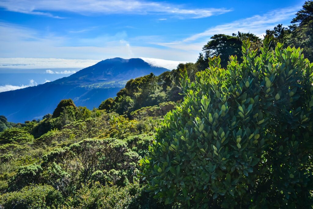 Cima de un volcán con sendero y nubes, imagen ilustrativa de senderismo volcánico