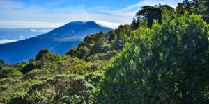 Cima de un volcán con sendero y nubes, imagen ilustrativa de senderismo volcánico