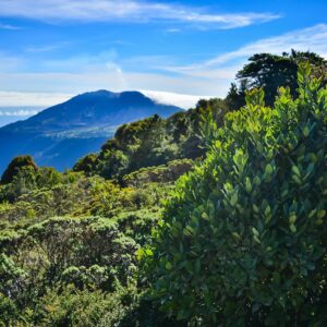 Cima de un volcán con sendero y nubes, imagen ilustrativa de senderismo volcánico